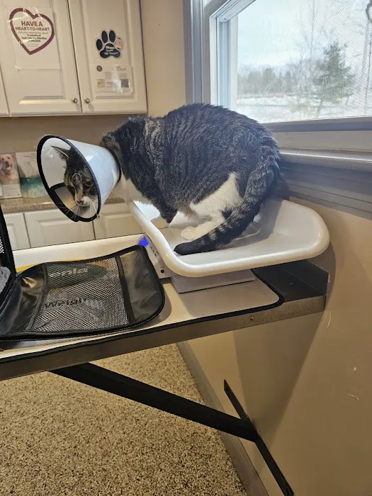 Riverlin Animal Hospital, LLC 8