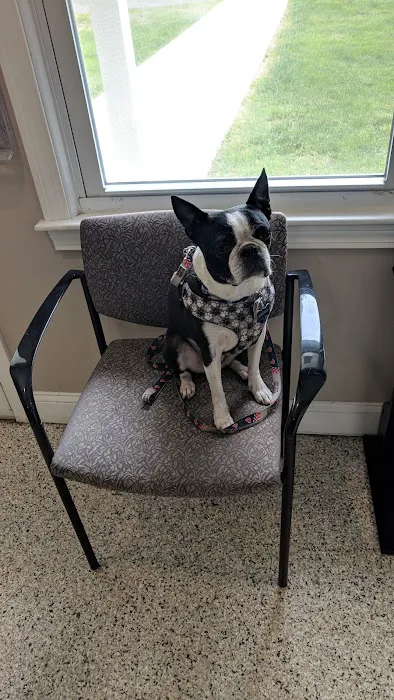 Riverlin Animal Hospital, LLC 2