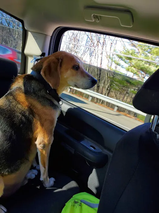 Riverlin Animal Hospital, LLC 4