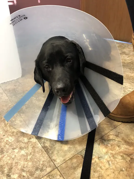 Tender Heart Vet Care PC 4