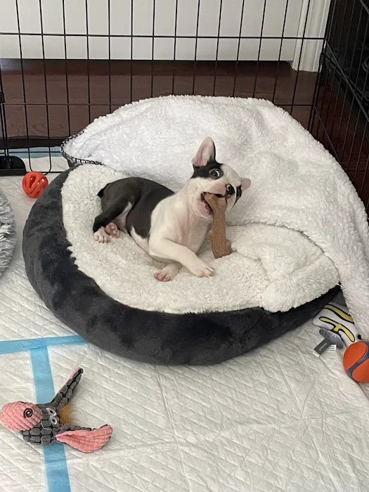 Gardner Animal Care Center 1