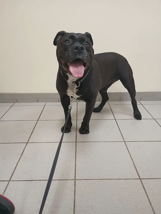 Gardner Animal Care Center 6
