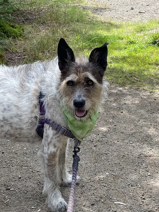 Gardner Animal Care Center 4