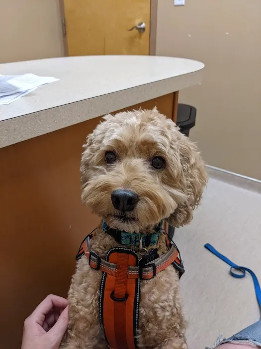 Wachusett Animal Hospital and Pet Retreat 1