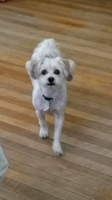 Monty Tech Veterinary Clinic 5