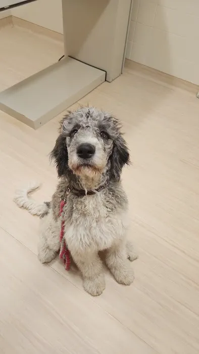 Monty Tech Veterinary Clinic 2
