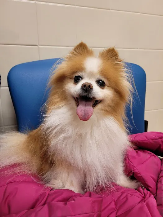 Monty Tech Veterinary Clinic 6