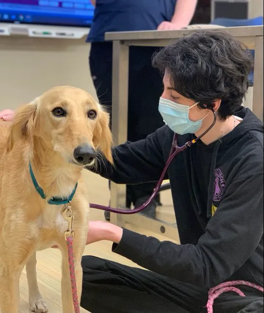 Monty Tech Veterinary Clinic 9