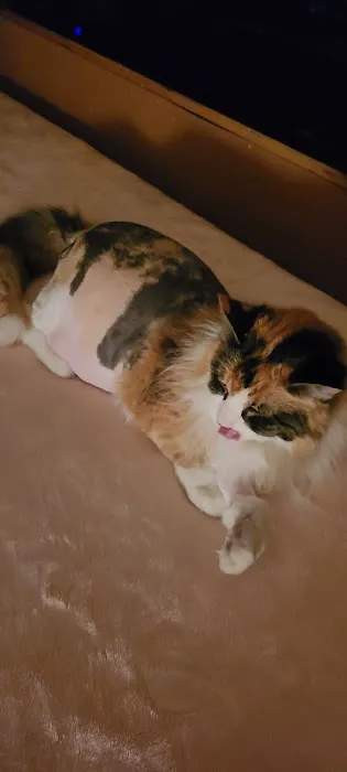 Family Pet Veterinary Services 7