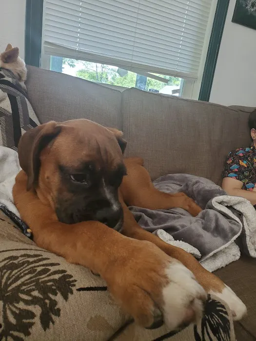 Family Pet Veterinary Services 9