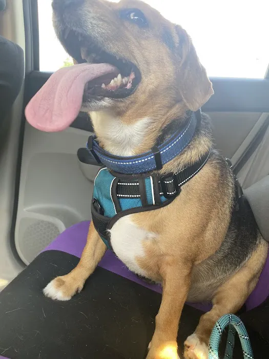 Twin City Animal Hospital 4