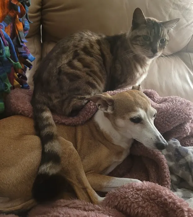 Twin City Animal Hospital 9