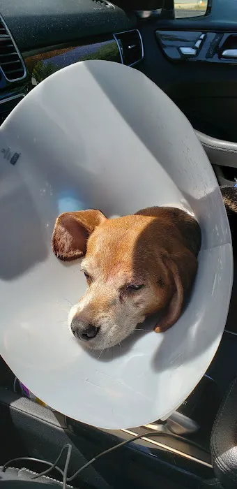 Twin City Animal Hospital 5