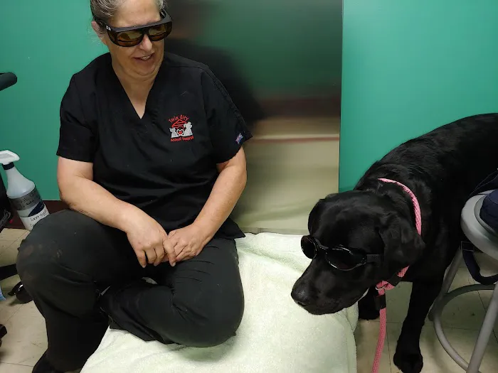 Twin City Animal Hospital 8