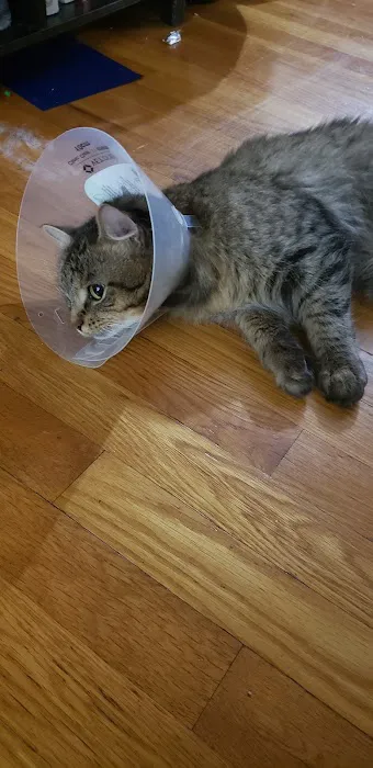 Battenkill Veterinary PC 9