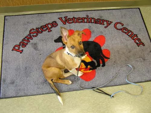 PawSteps Veterinary Center 1