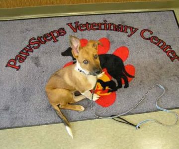 PawSteps Veterinary Center
