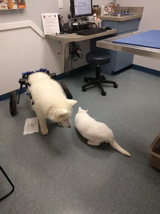 PawSteps Veterinary Center 9