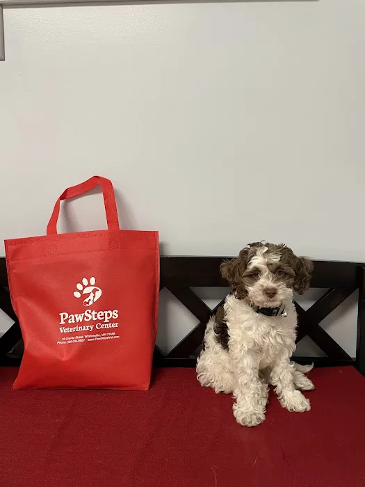 PawSteps Veterinary Center 10