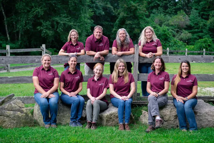 Massachusetts Equine Clinic 3