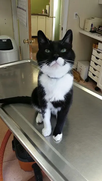 Agape Animal Hospital 9