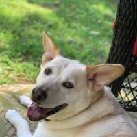 Mendon Animal Clinic ico