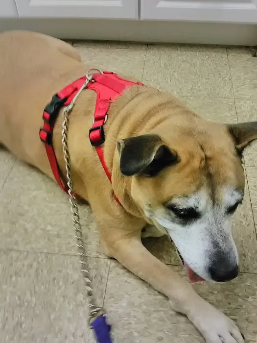 Mendon Animal Clinic 4