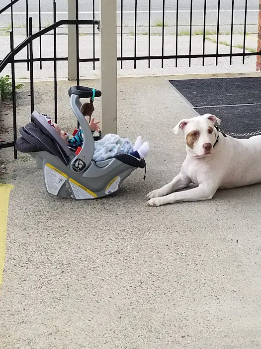 North Smithfield Animal Hospital 10