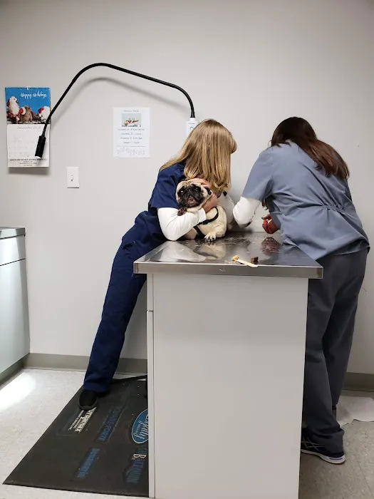 North Smithfield Animal Hospital 9