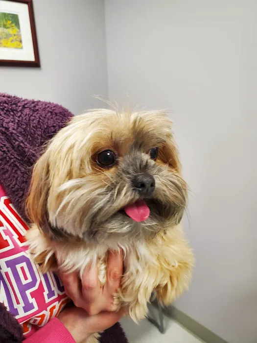 Slatersville Veterinary Clinic 2