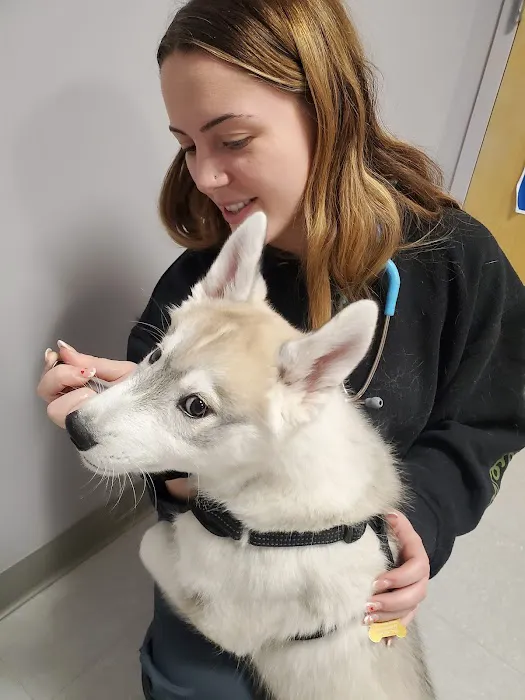 Slatersville Veterinary Clinic 7