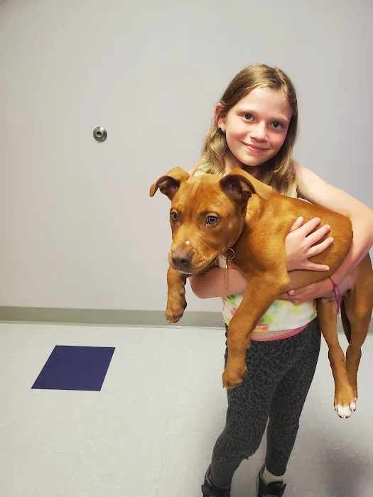 Slatersville Veterinary Clinic 1