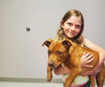 Slatersville Veterinary Clinic