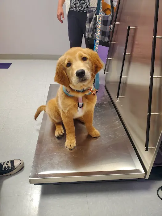 Slatersville Veterinary Clinic 4