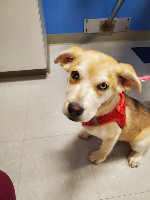 Slatersville Veterinary Clinic 3