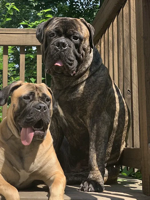 Milford Animal Hospital 5