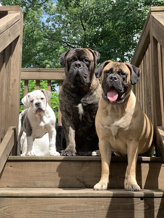Milford Animal Hospital 6