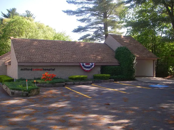Milford Animal Hospital 7