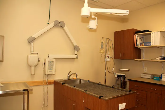 Hill & Harbour Veterinary Center 6