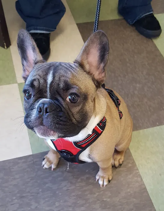 Hill & Harbour Veterinary Center 3