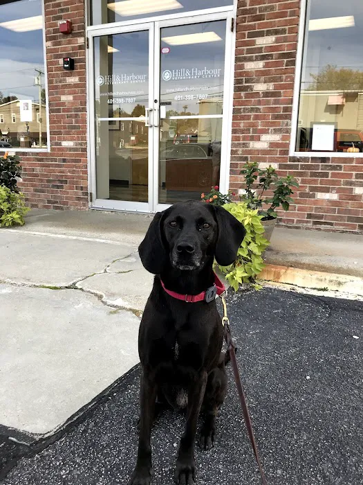Hill & Harbour Veterinary Center 10