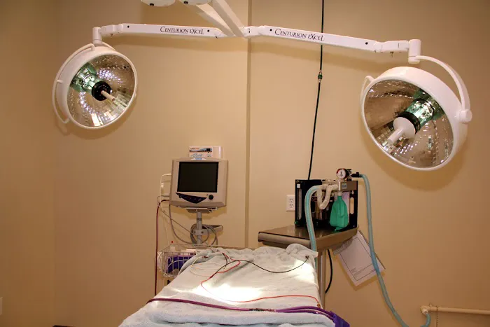 Hill & Harbour Veterinary Center 5