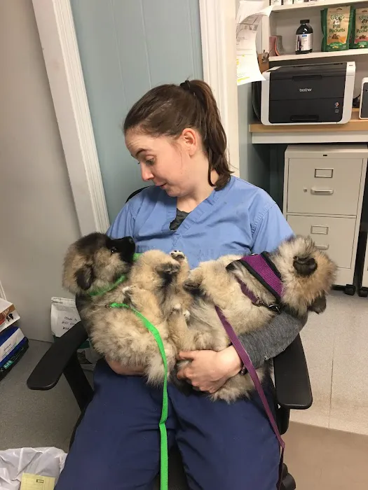 Jamestown Animal Clinic 1