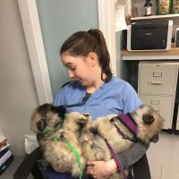 Jamestown Animal Clinic ico