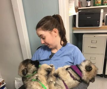 Jamestown Animal Clinic