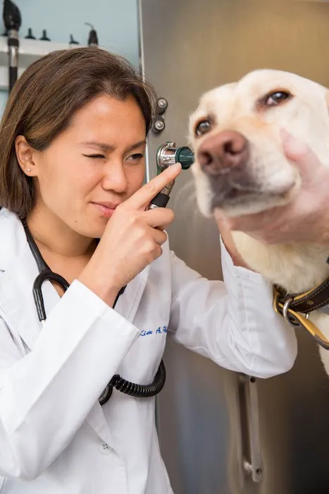 Jamestown Animal Clinic 5