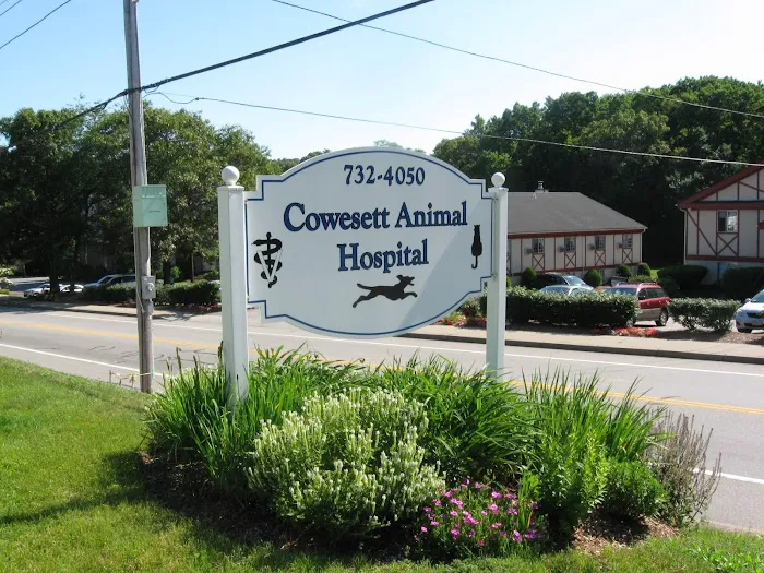 Cowesett Animal Hospital 10
