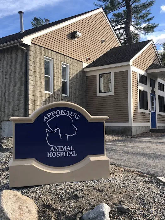 Apponaug Animal Hospital 5