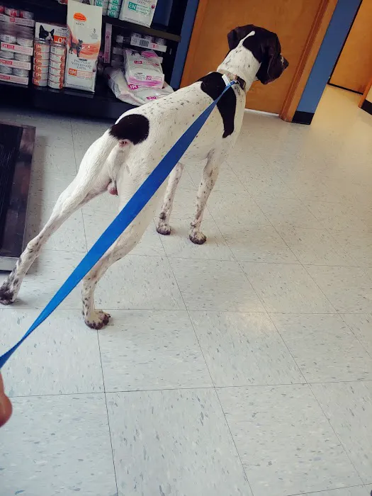 Apponaug Animal Hospital 1