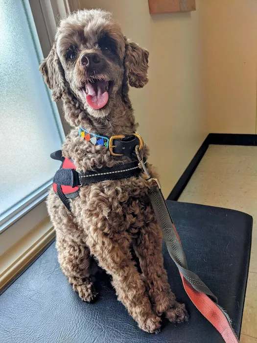 Apponaug Animal Hospital 2